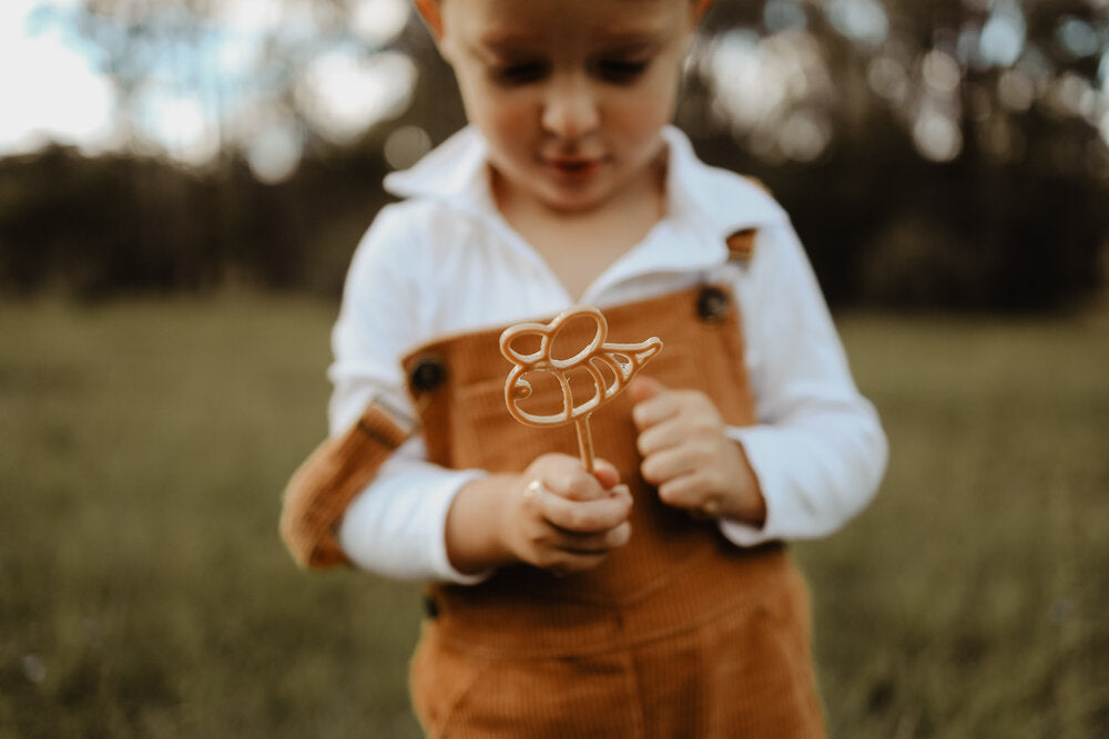 Eco Bubble Wands