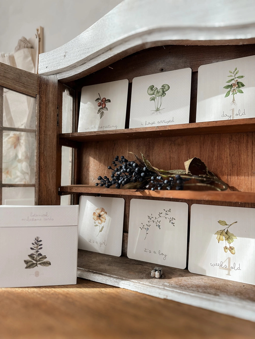 Botanical Milestone Cards