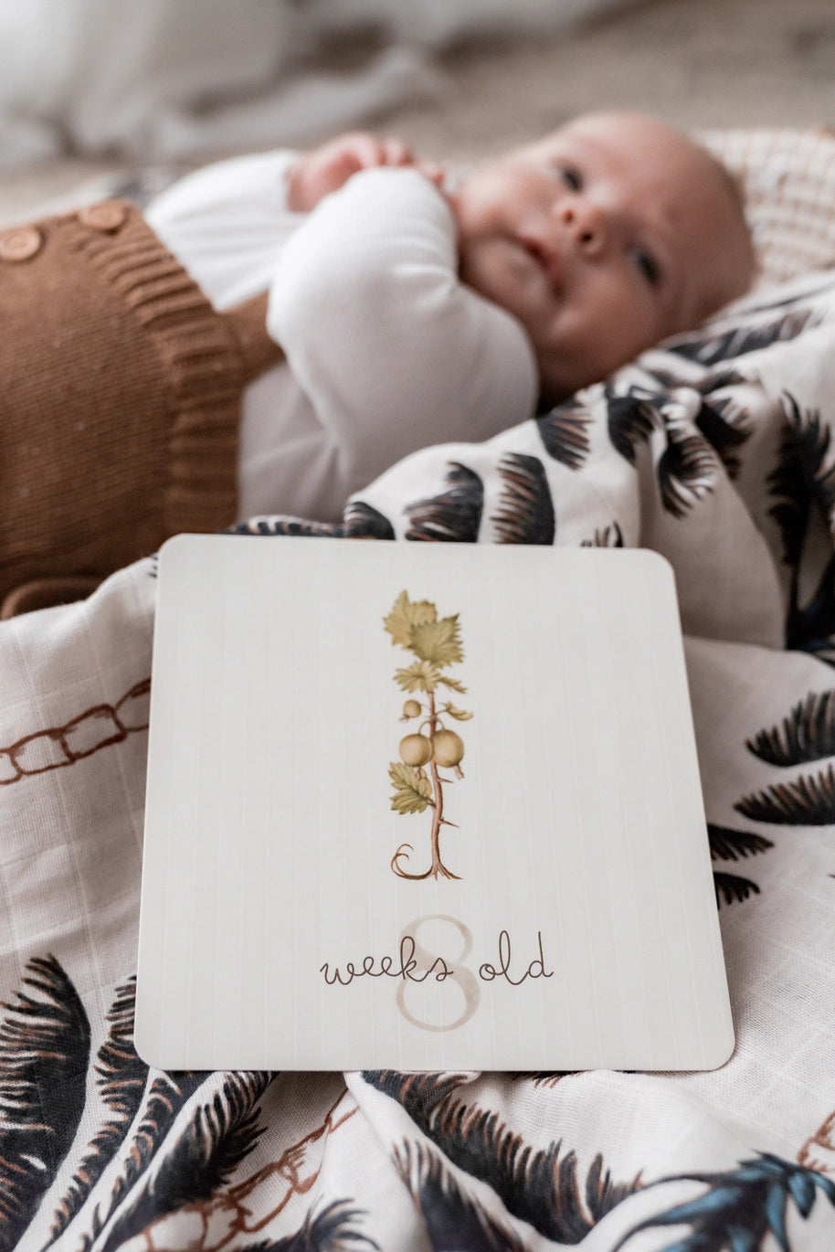 Botanical Milestone Cards