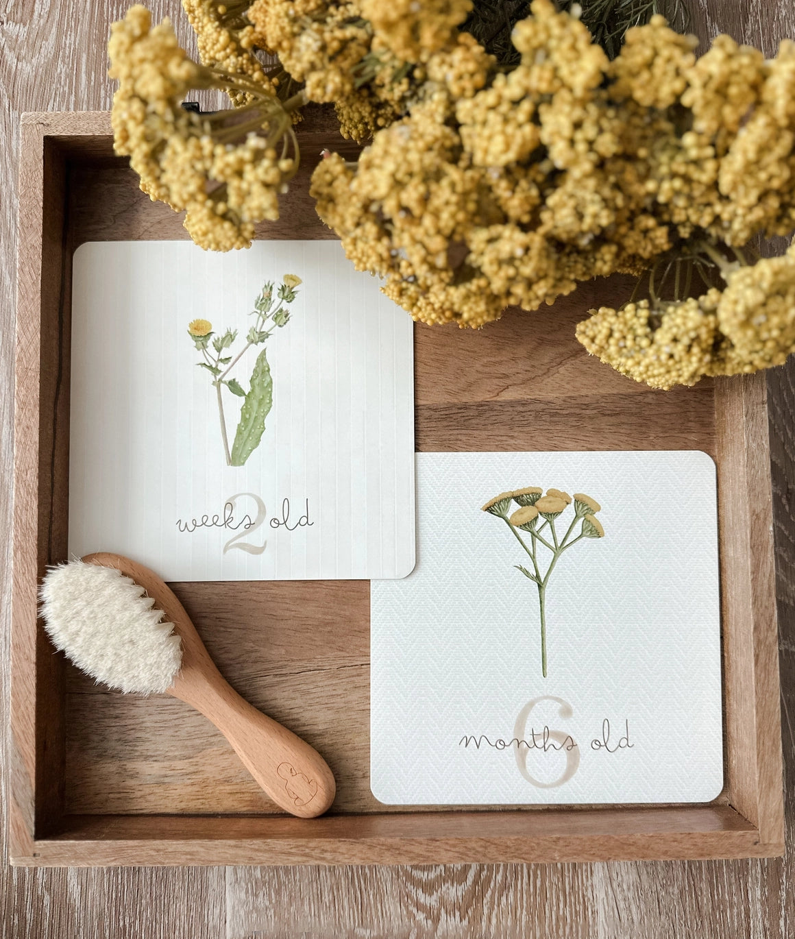 Botanical Milestone Cards