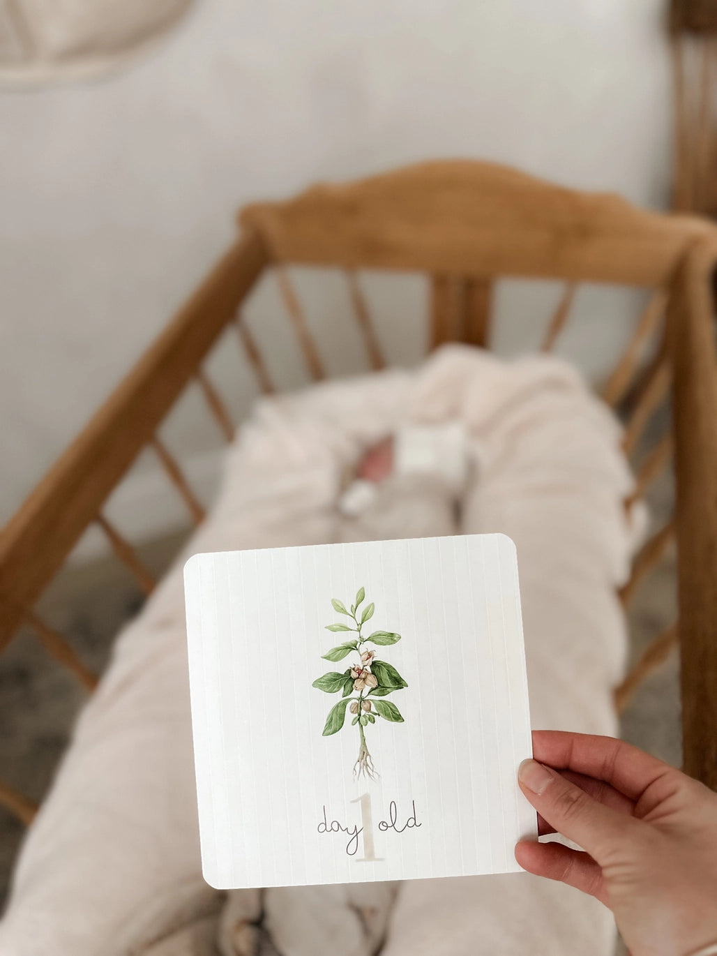 Botanical Milestone Cards
