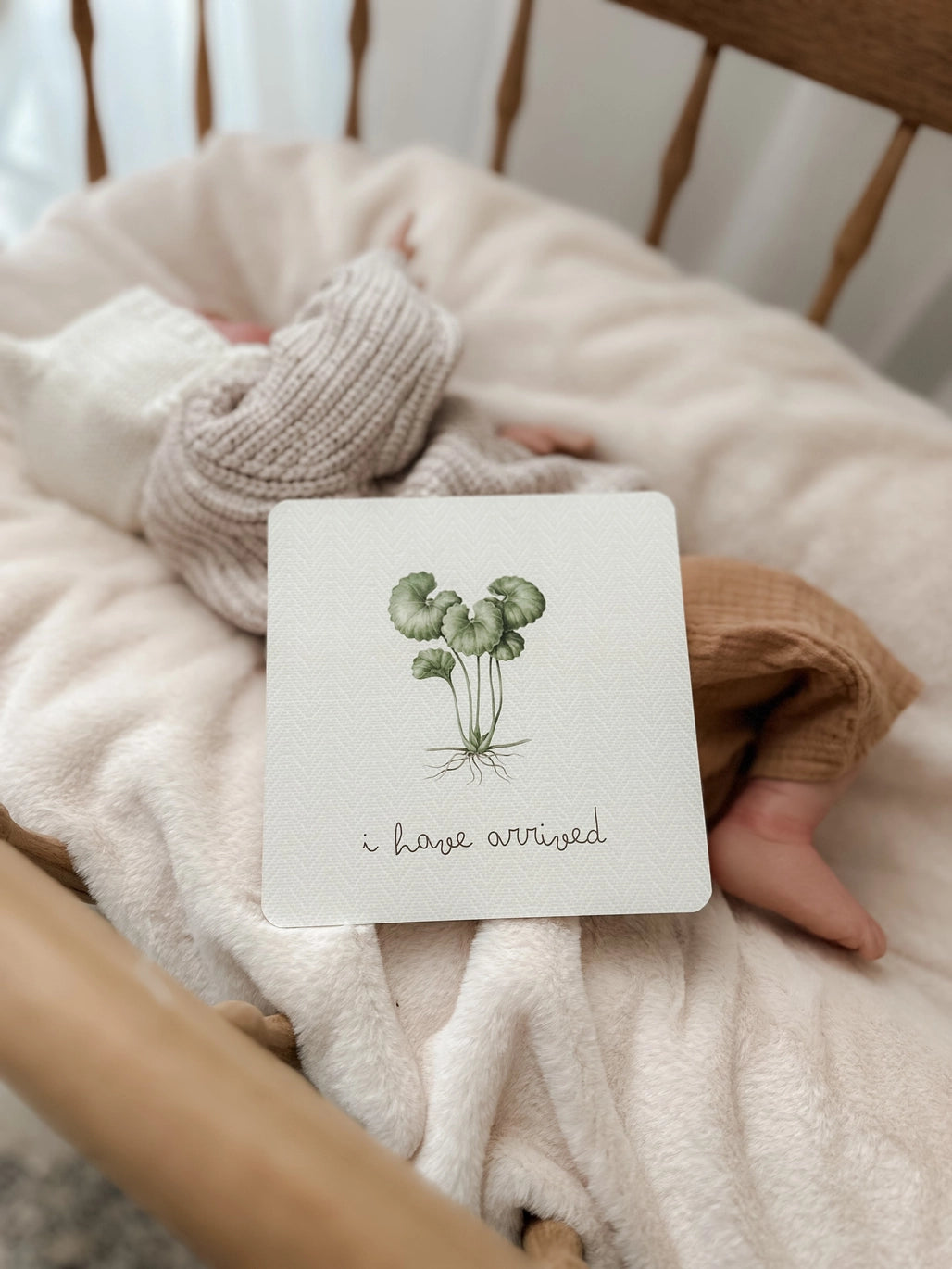 Botanical Milestone Cards