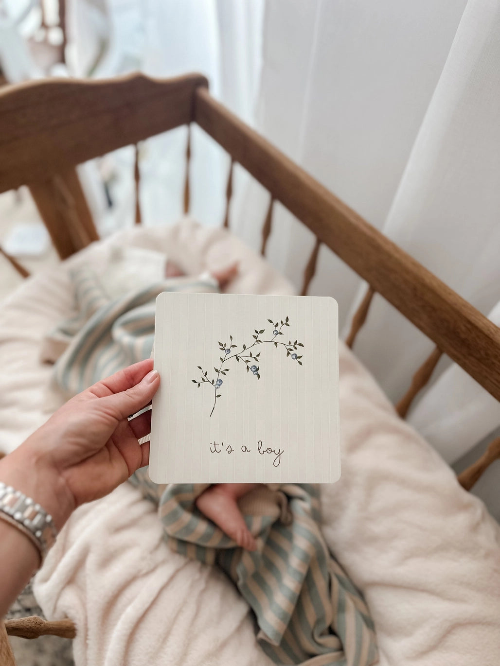 Botanical Milestone Cards