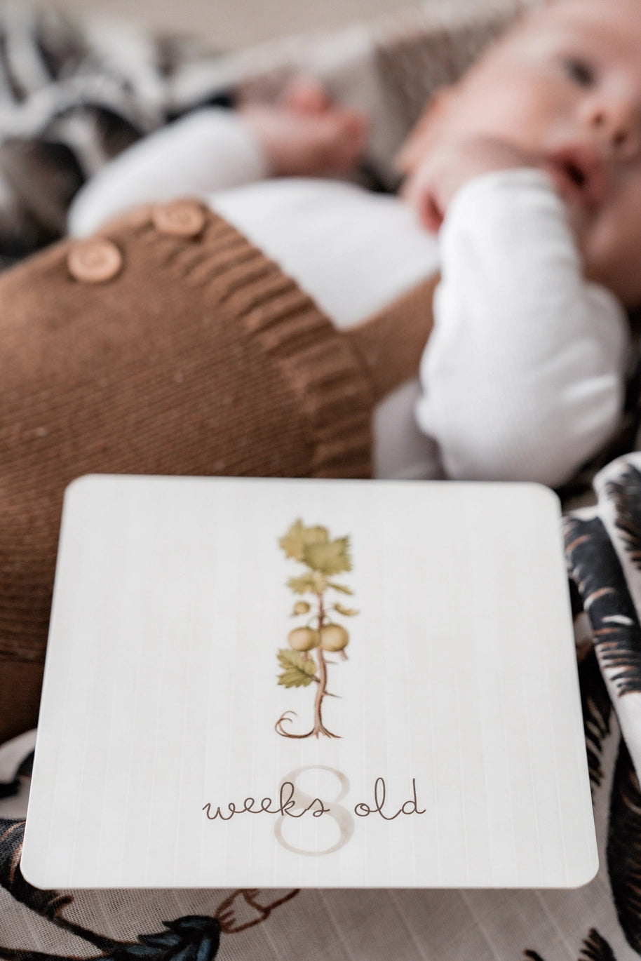 Botanical Milestone Cards
