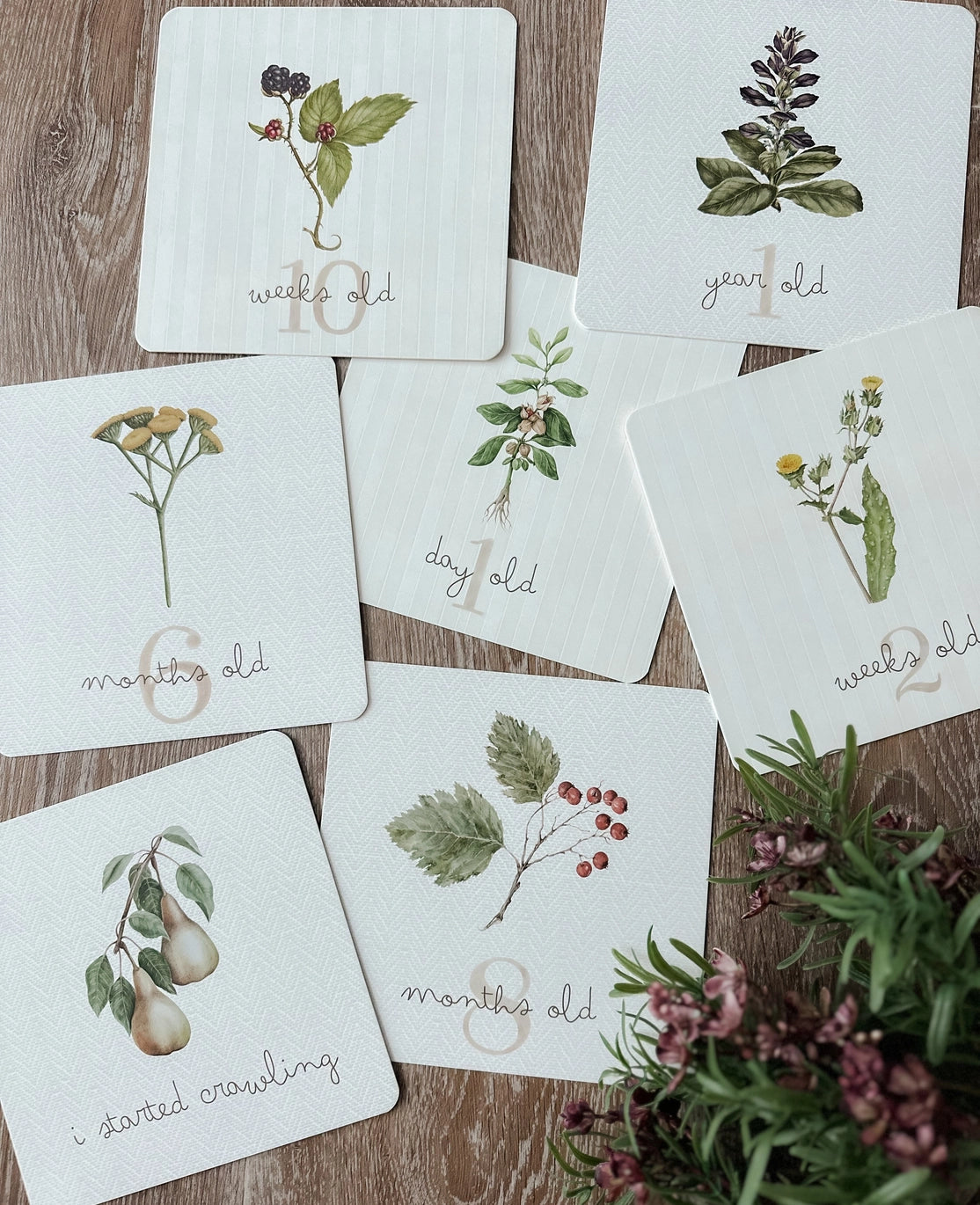 Botanical Milestone Cards