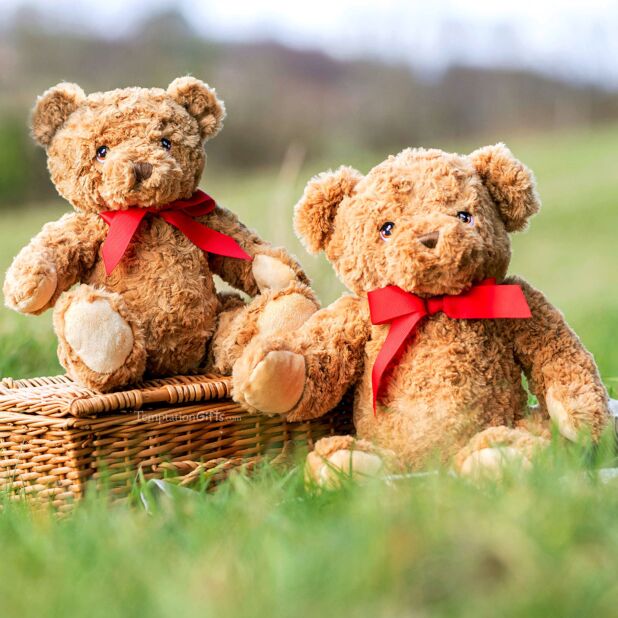 Keeleco Teddy 30cm