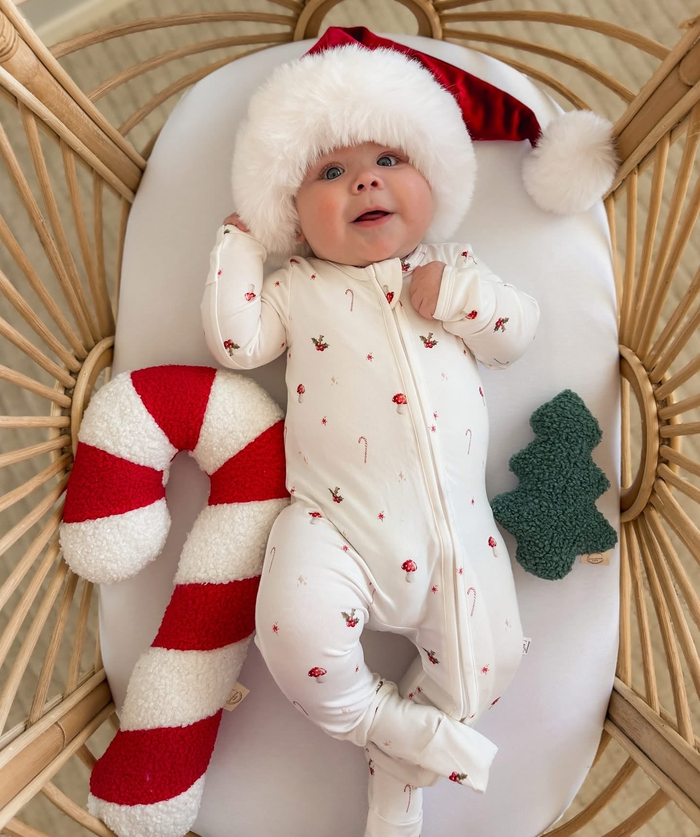 Woodland Christmas Bamboo/Organic Cotton Growsuit