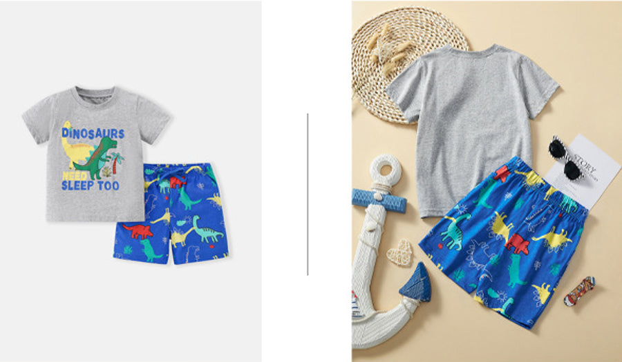 Sleepy Dino Boys 2 piece set