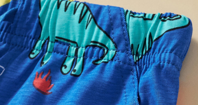 Sleepy Dino Boys 2 piece set