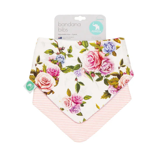 Bandana Bibs 2 Pack Reversible Assorted Designs