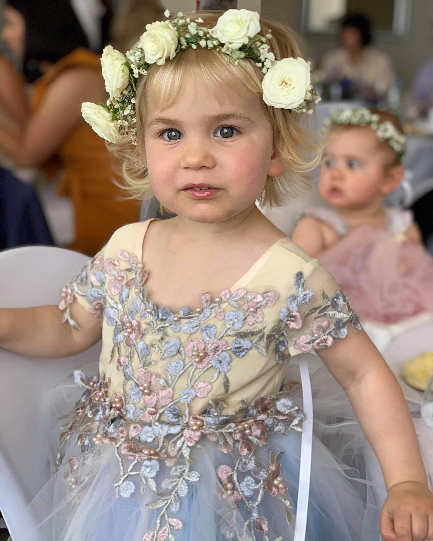 Eliza's Special Occasion Tutu Dress