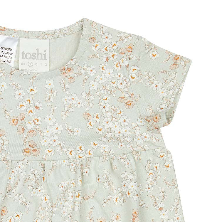 Toshi Classic Knit Dresses