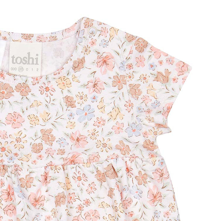 Toshi Classic Knit Dresses