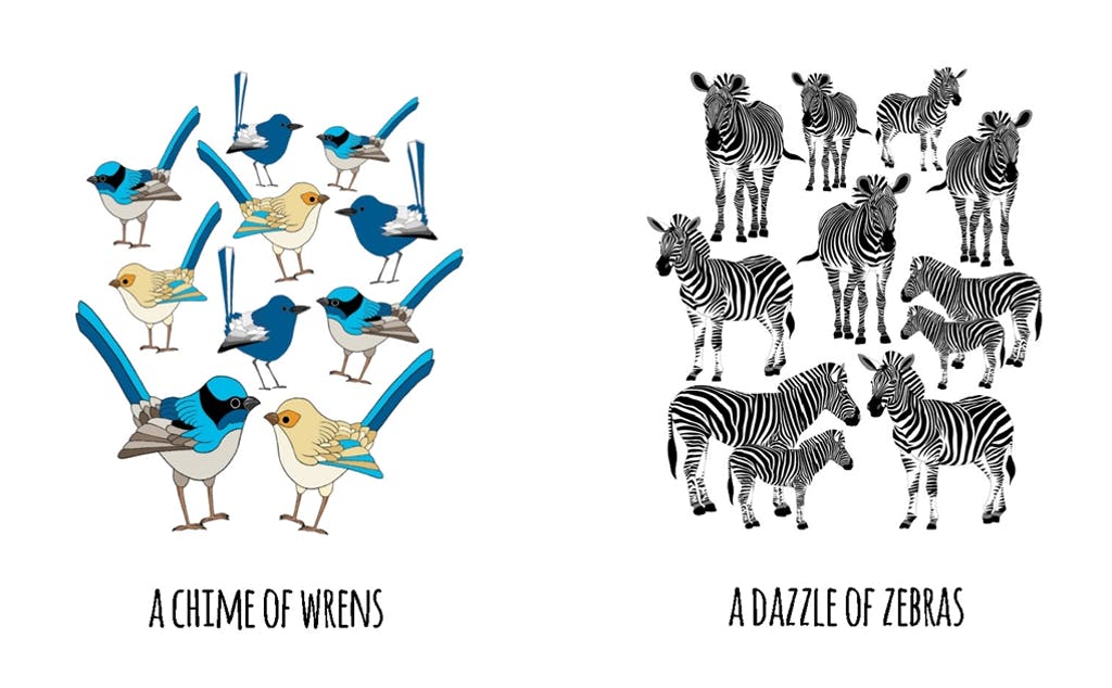 101 Collective Nouns