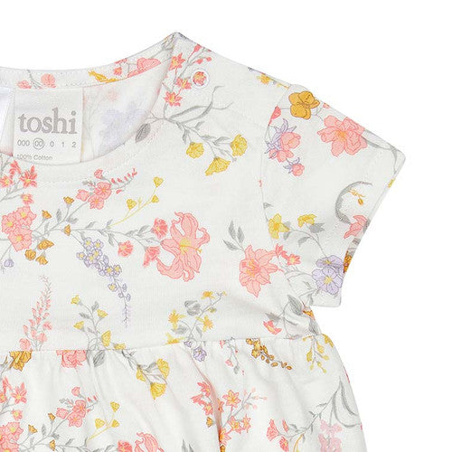 Toshi Classic Knit Dresses
