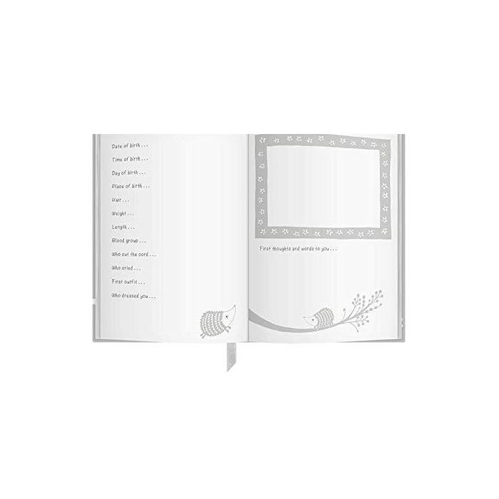 Early Years Journal
