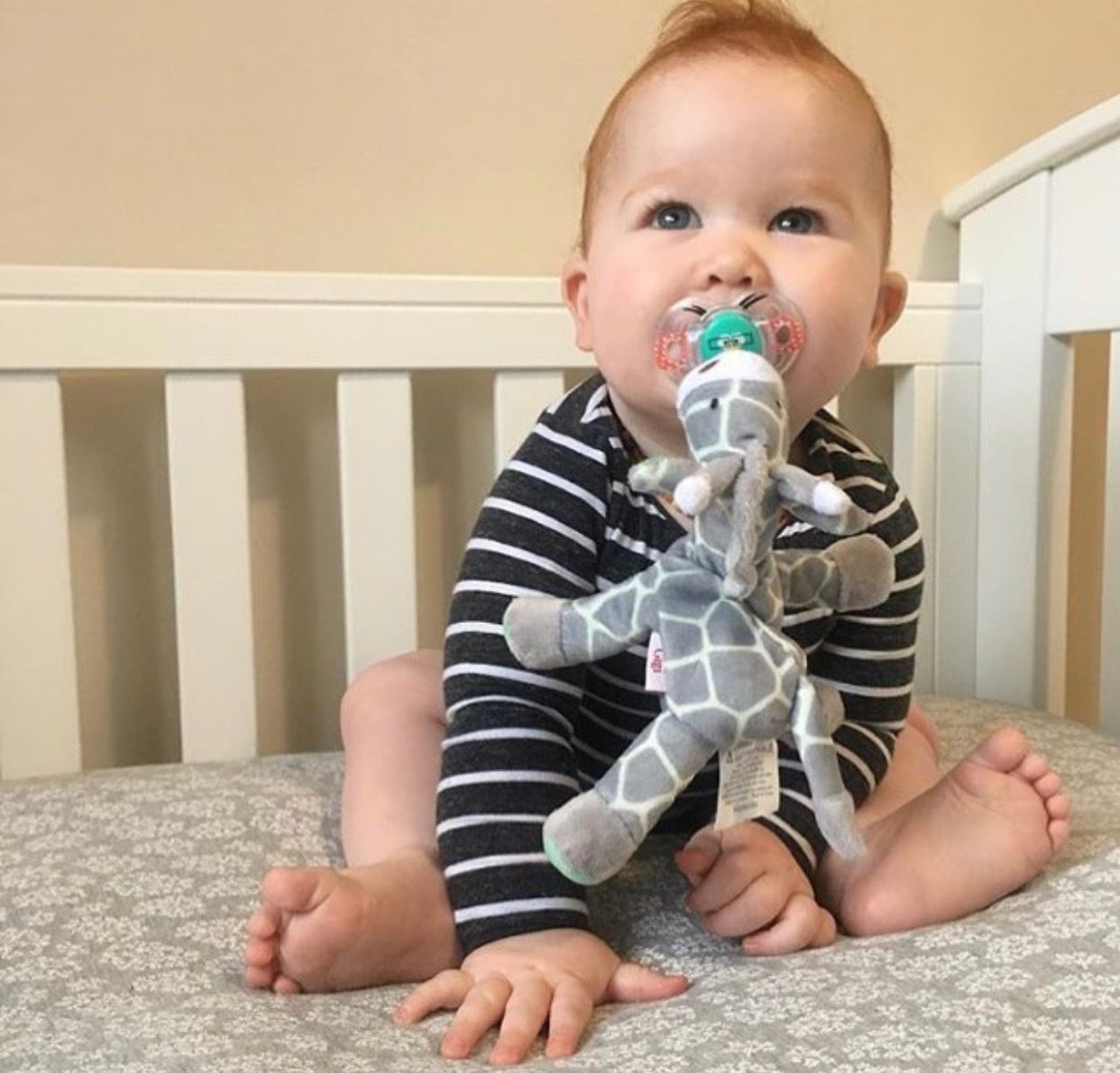 Bibipals Teething & Pacifier Snuggle Toy