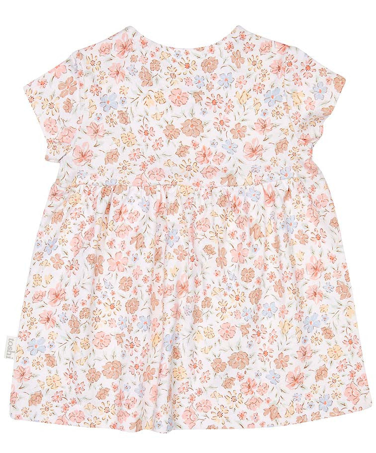 Toshi Classic Knit Dresses