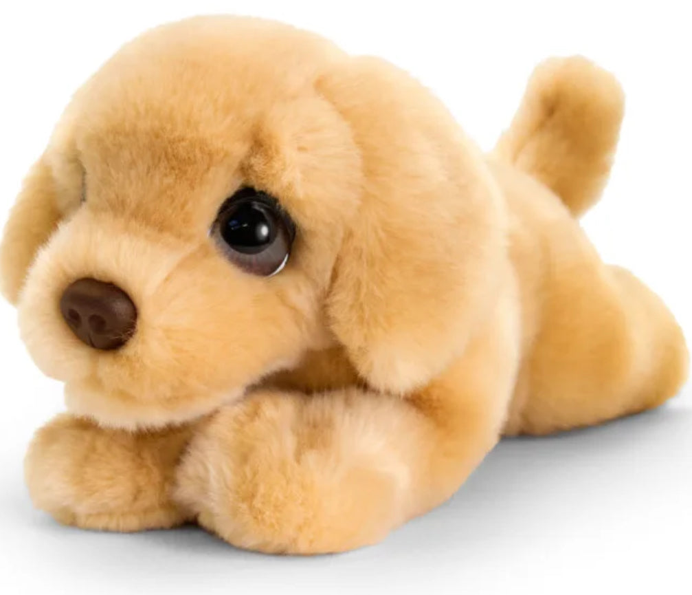 Signature Cuddle Puppies
