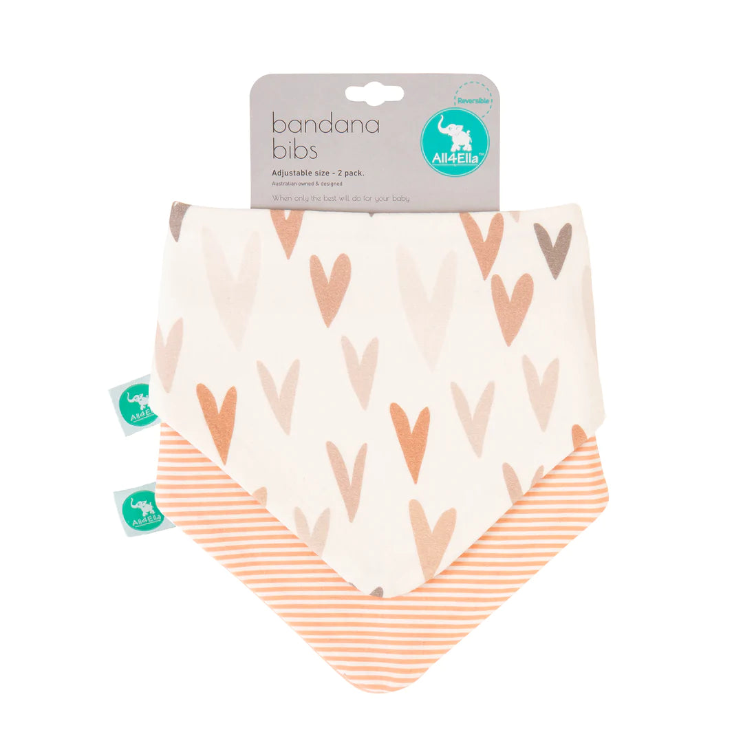 Bandana Bibs 2 Pack Reversible Assorted Designs