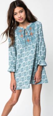 Skye's Sage Dress