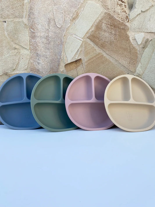 Silicone Plate & Fork Set