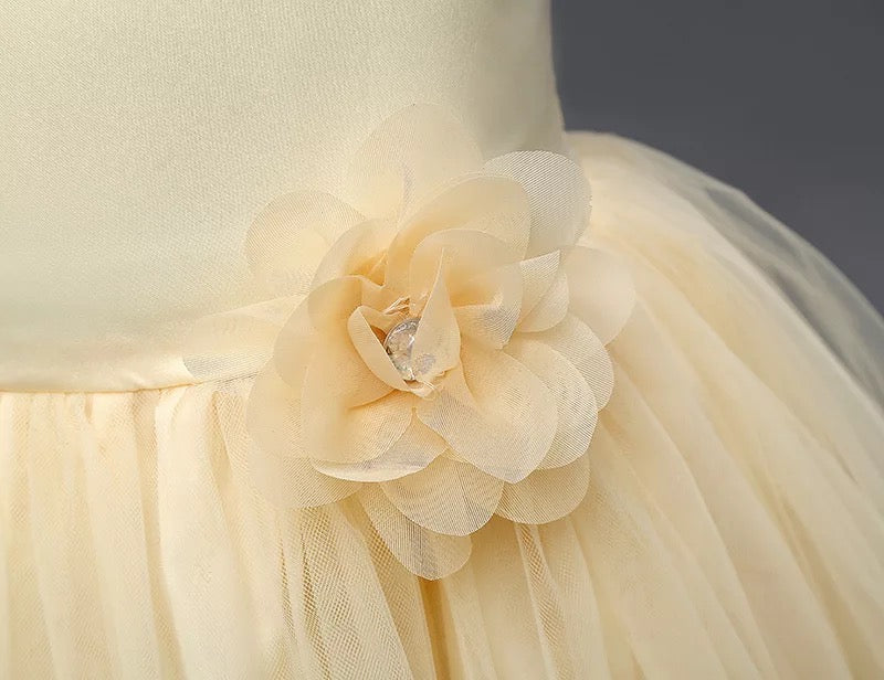 Alba’s Champagne Dress