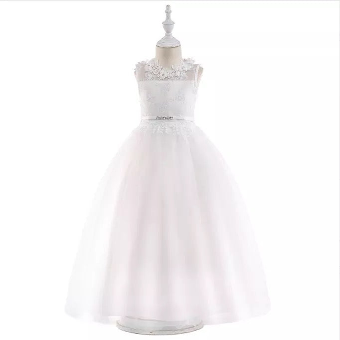 Charlotte's Dress