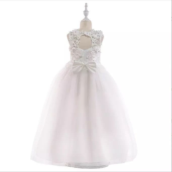 Charlotte's Dress