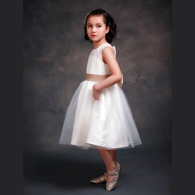 Zoe's Dress