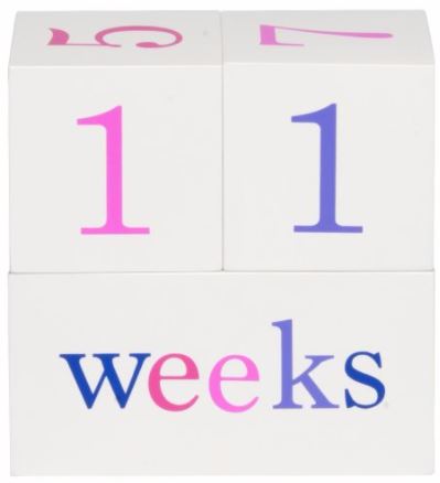 All 4 Ella Milestone Blocks