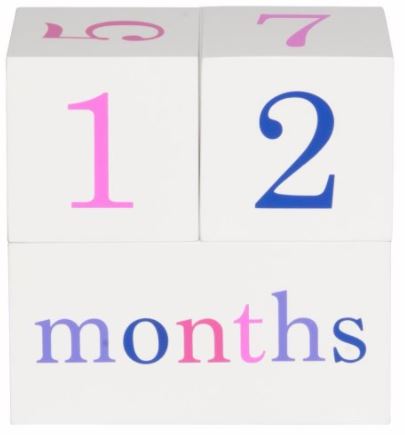 All 4 Ella Milestone Blocks