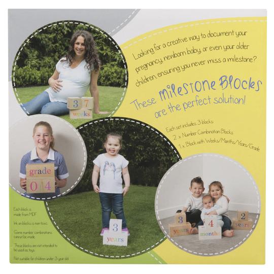 All 4 Ella Milestone Blocks