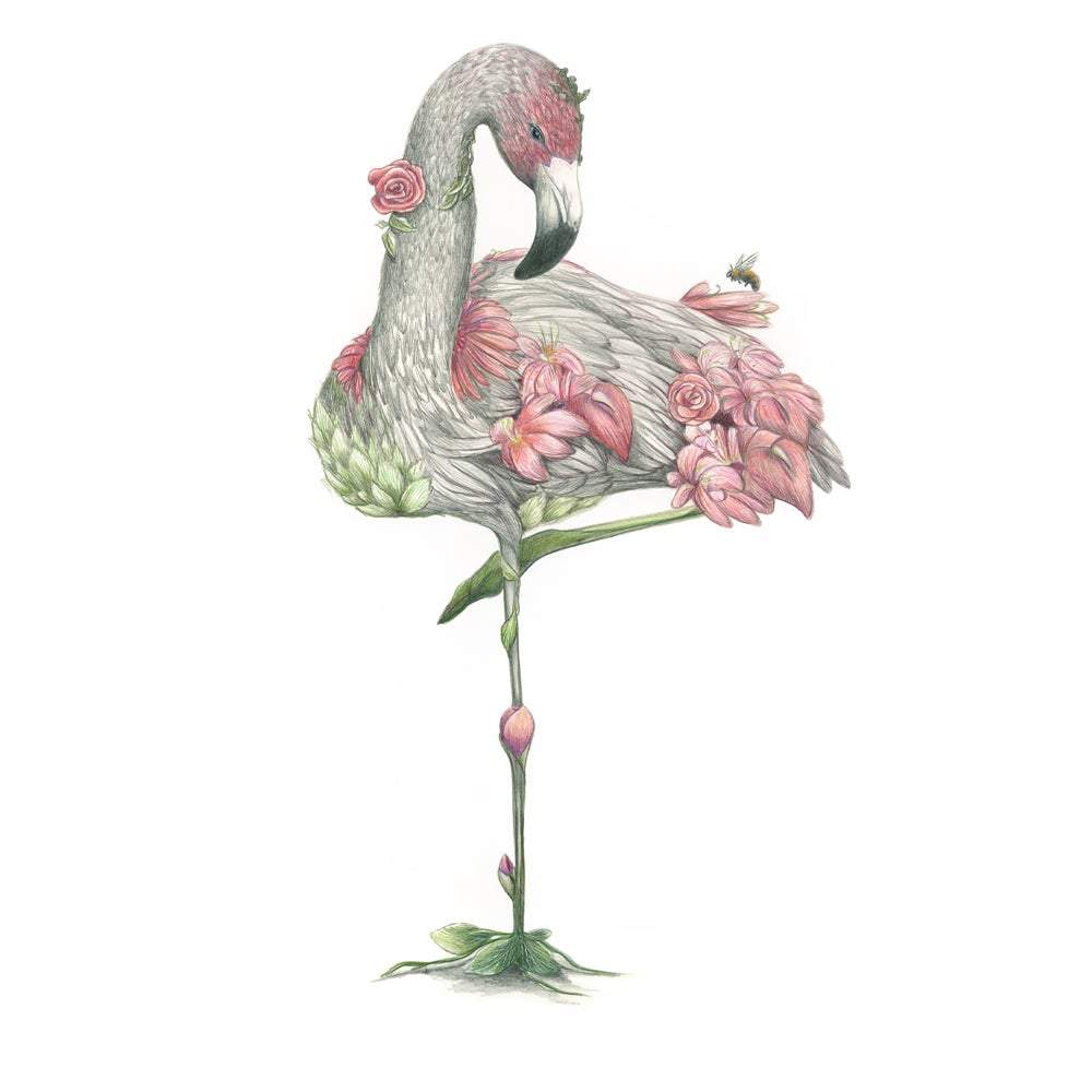 Flamingo Pink Print