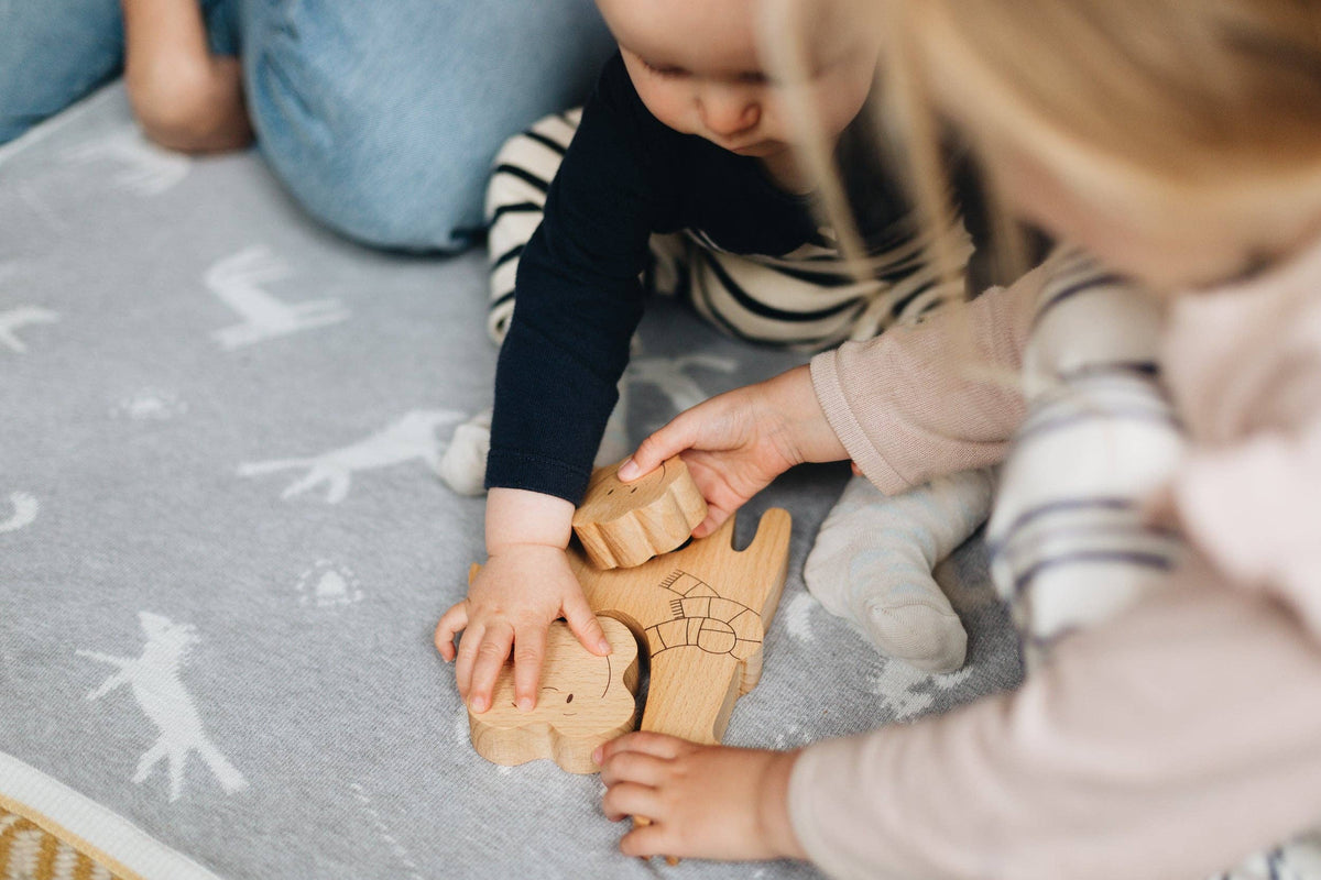 Āpiti - Wooden Puzzle