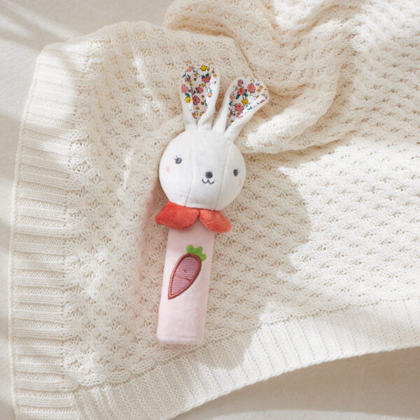 Jiggle & Giggle Hugglies Bunny Squeaker