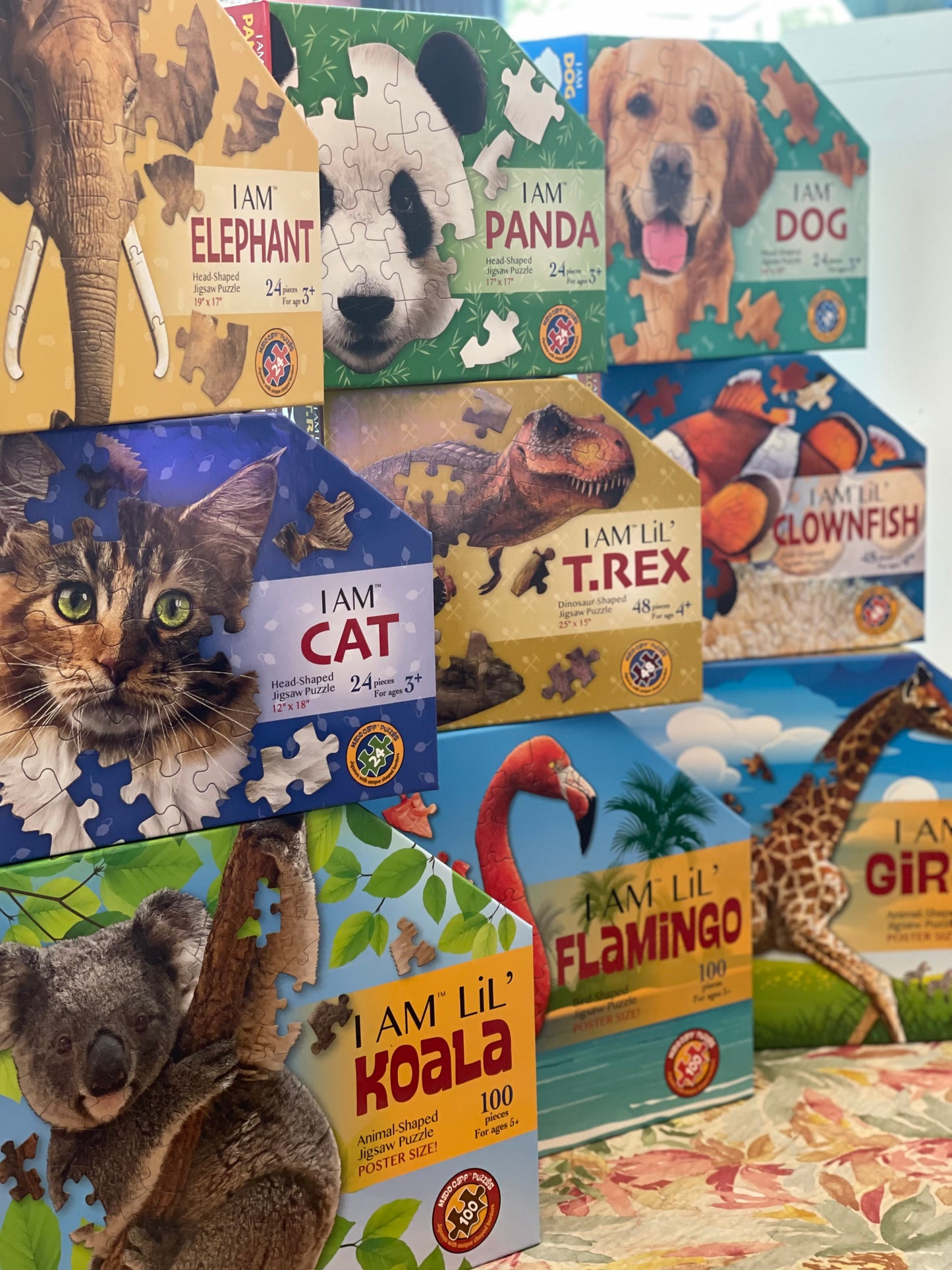 I AM Puzzle Collection