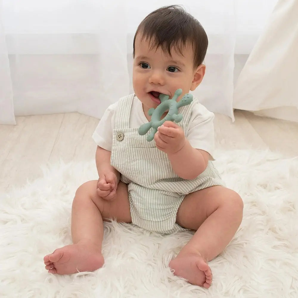 Silicone Splash Teether Sage