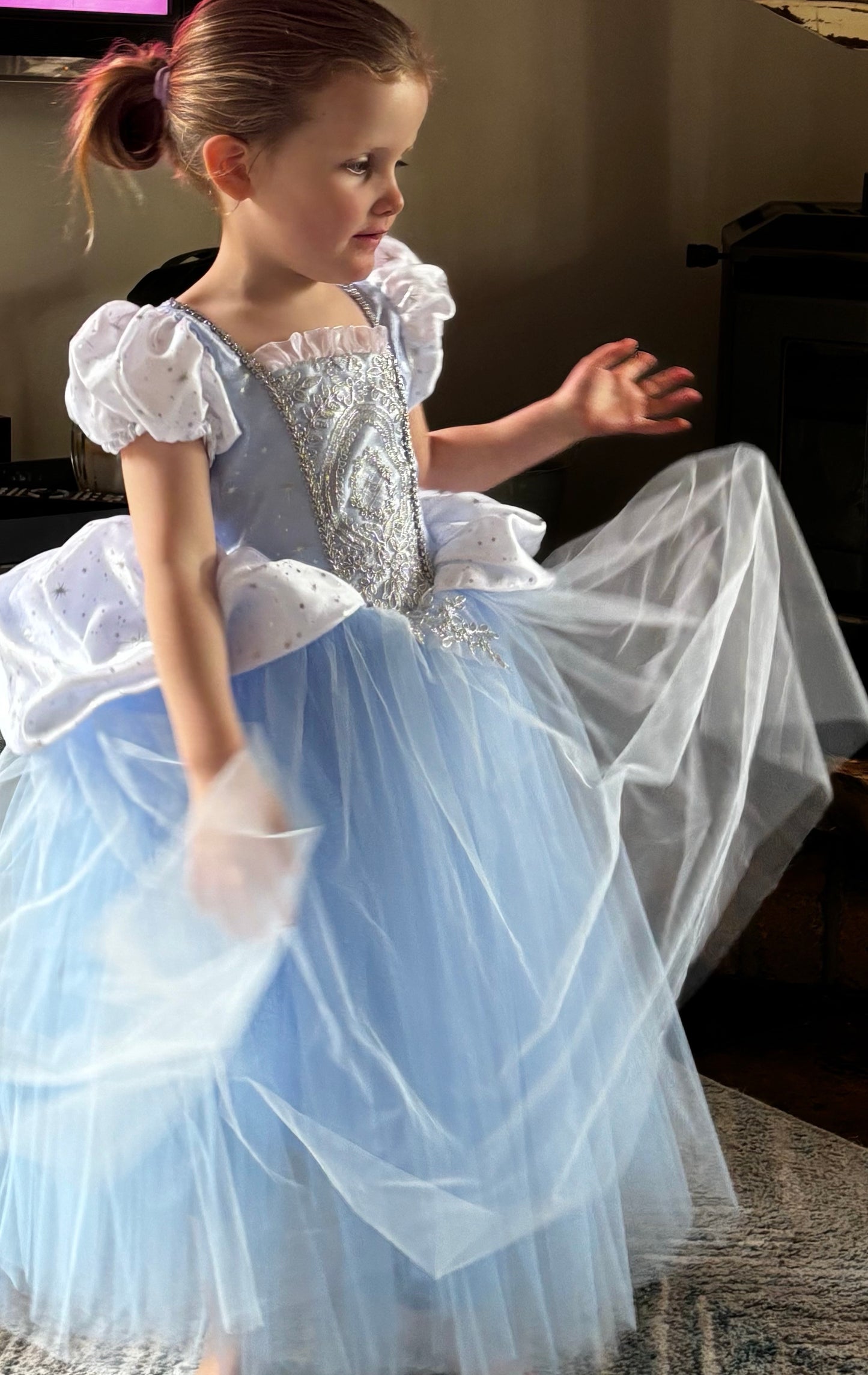 Cinder Ella’s Dress