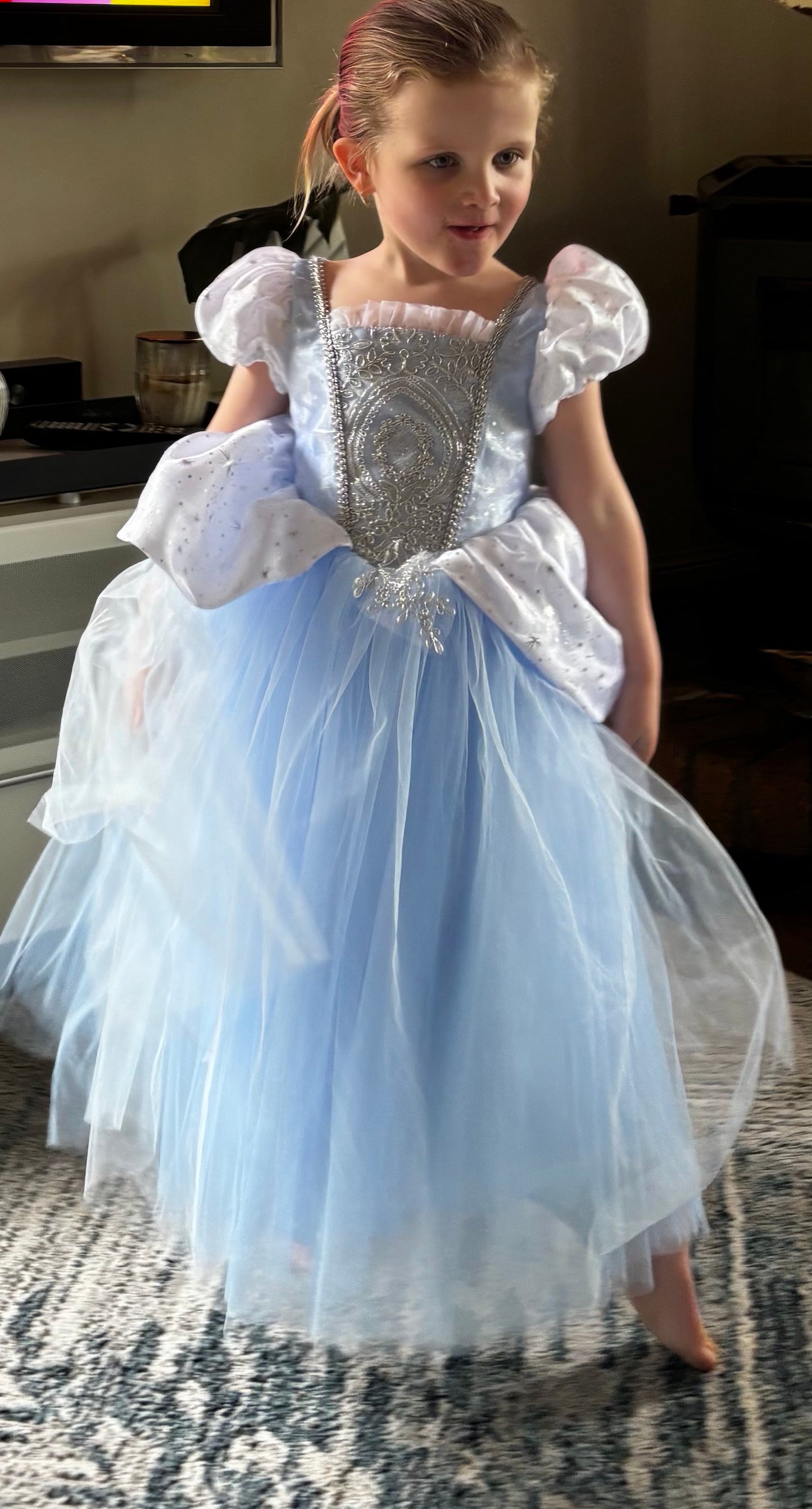 Cinder Ella’s Dress
