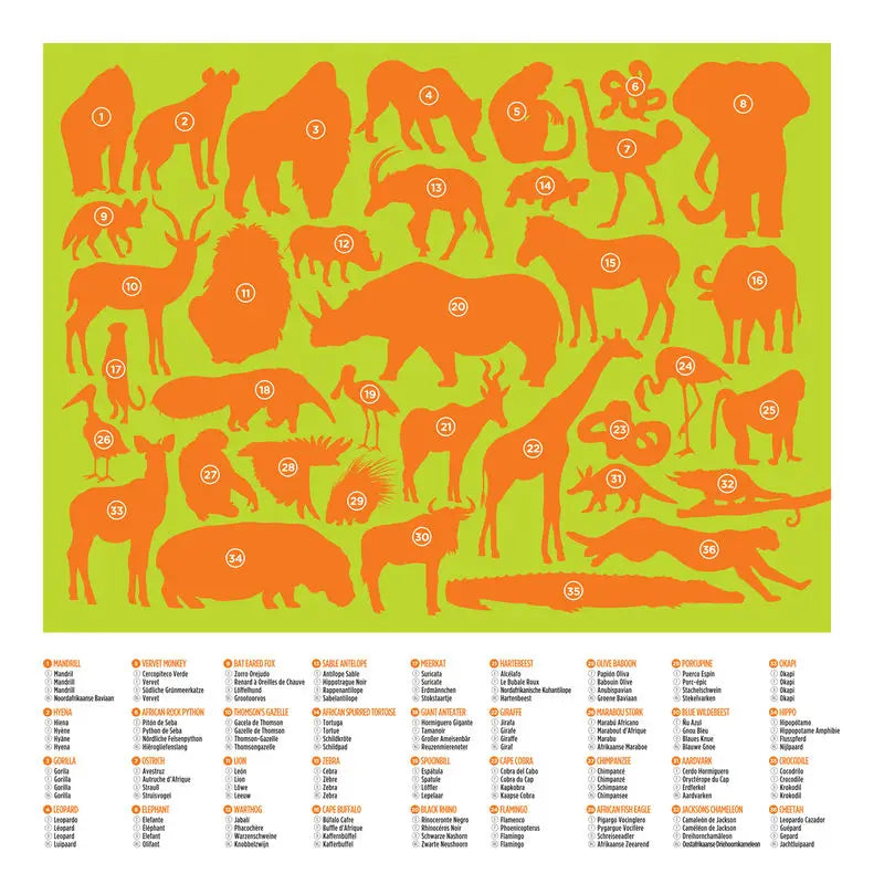 Wild Animals - Species  Puzzle 100pc
