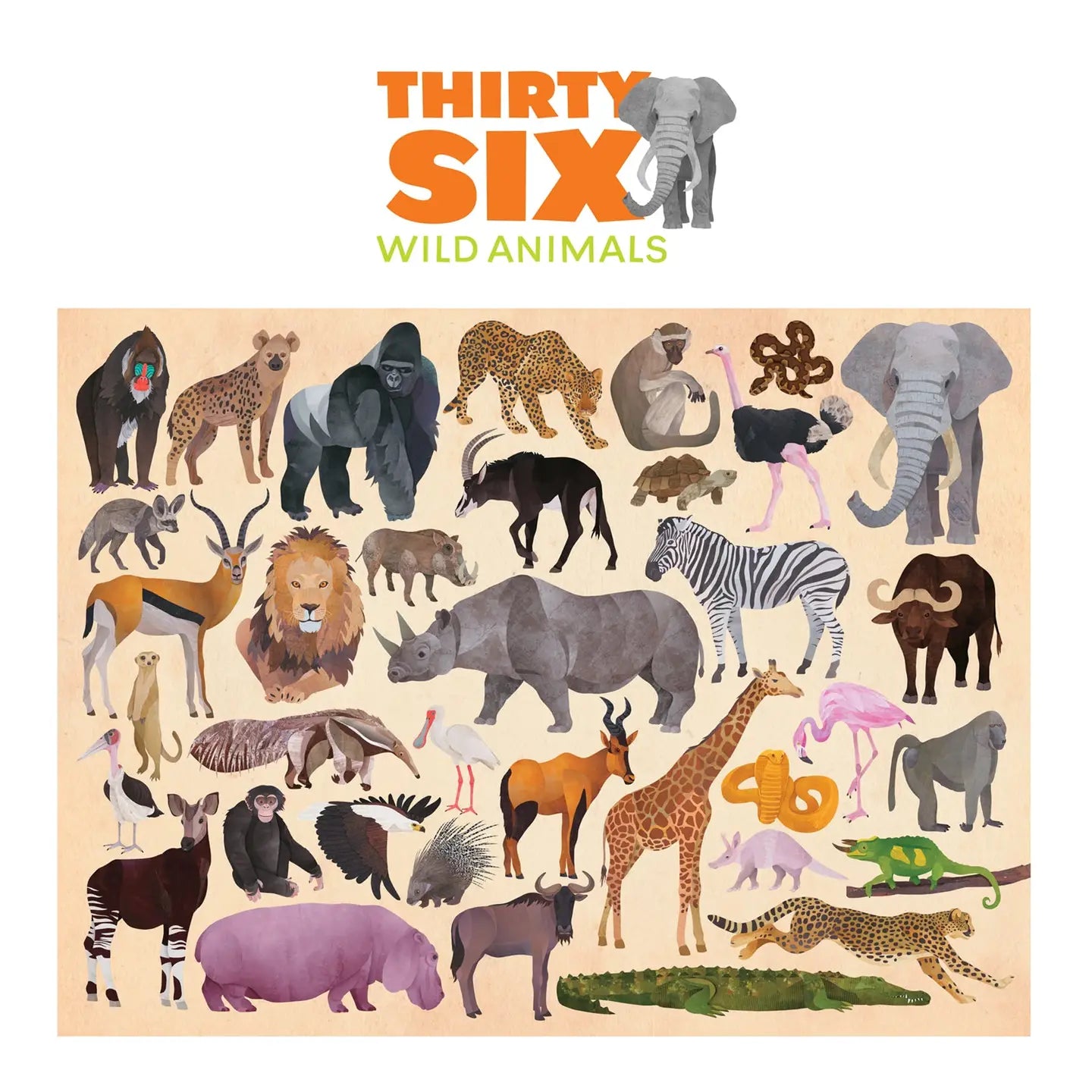 Wild Animals - Species  Puzzle 100pc