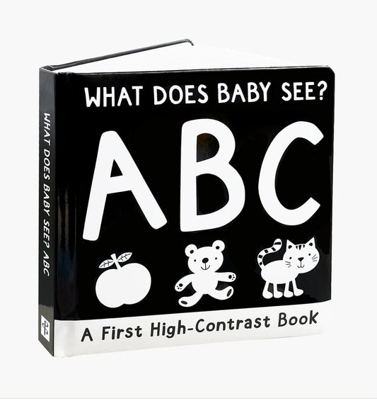 What Does Baby See? ABC Board book