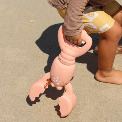 Sand Claws Coral Lobster