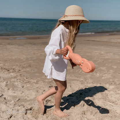 Sand Claws Coral Lobster