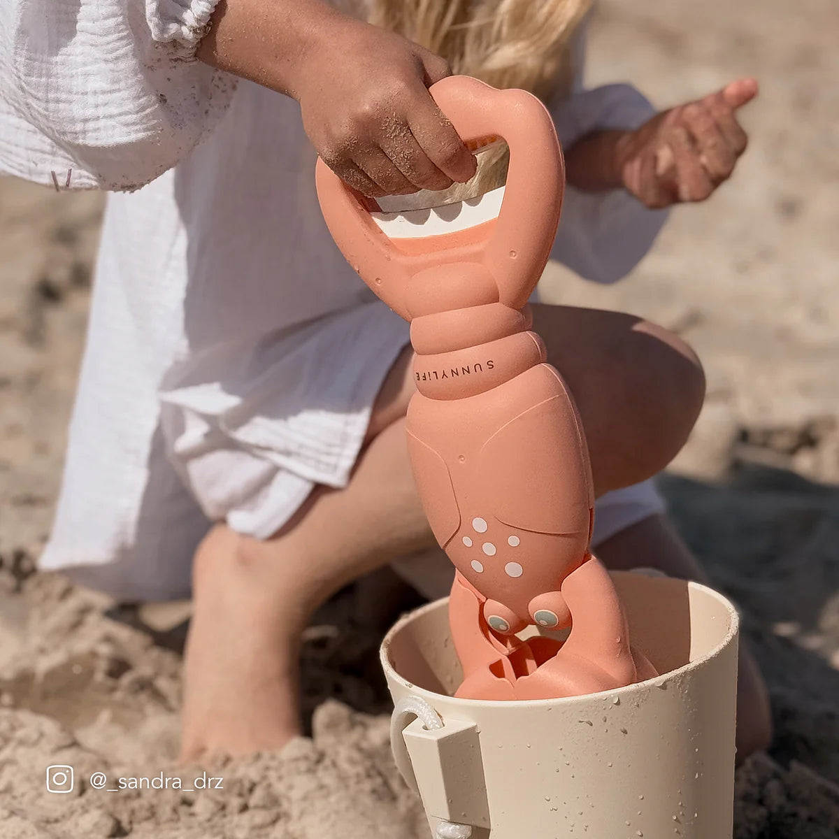 Sand Claws Coral Lobster