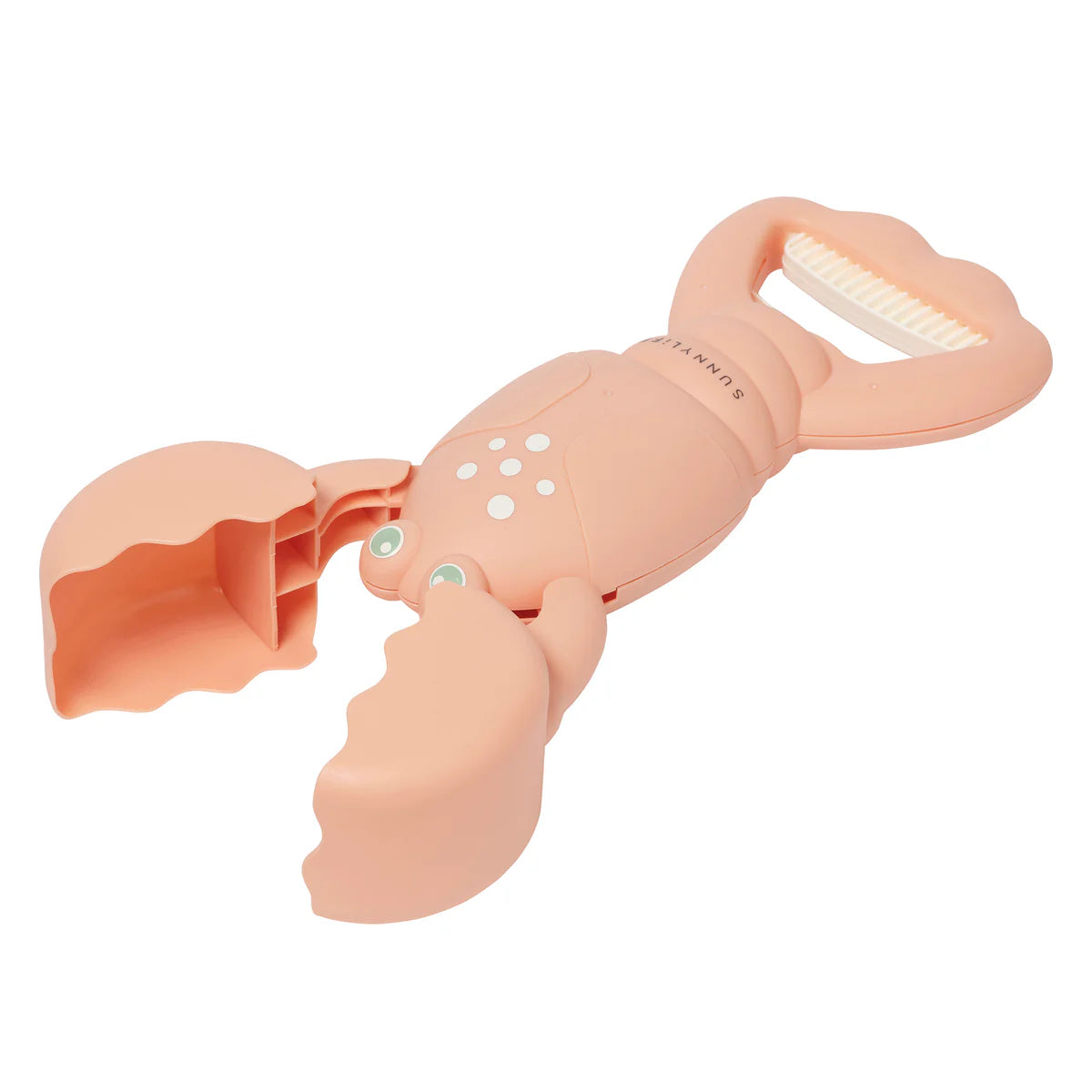 Sand Claws Coral Lobster