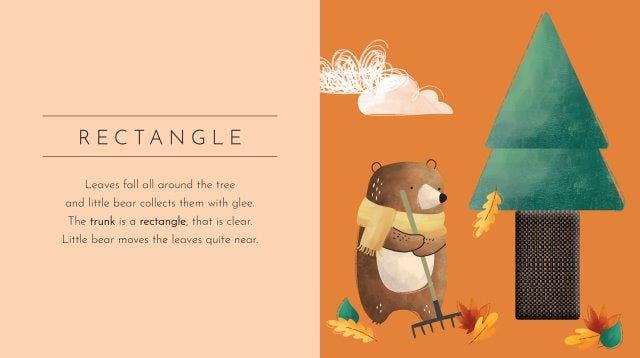 Sassi Touch & Feel Pocket Book - Shapes
