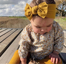 Load image into Gallery viewer, Sister Bows Willow Baby Headband