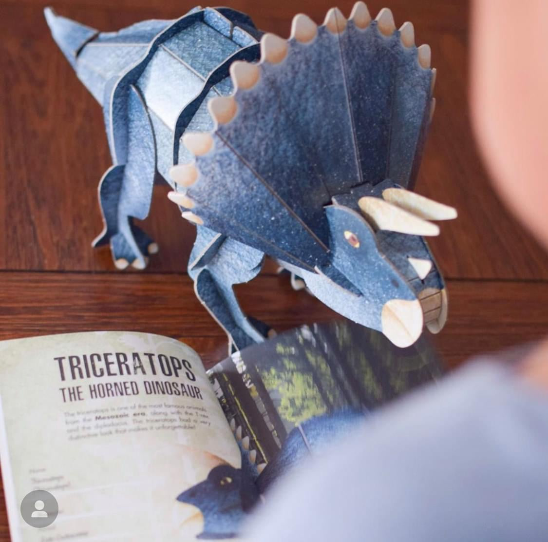 Sassi 3D Assemble and Book - The Age Of The Dinosaurs - Triceratops